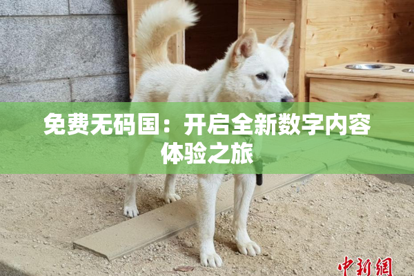 免费无码国：开启全新数字内容体验之旅