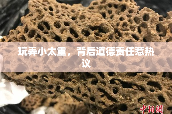 玩弄小太重，背后道德责任惹热议