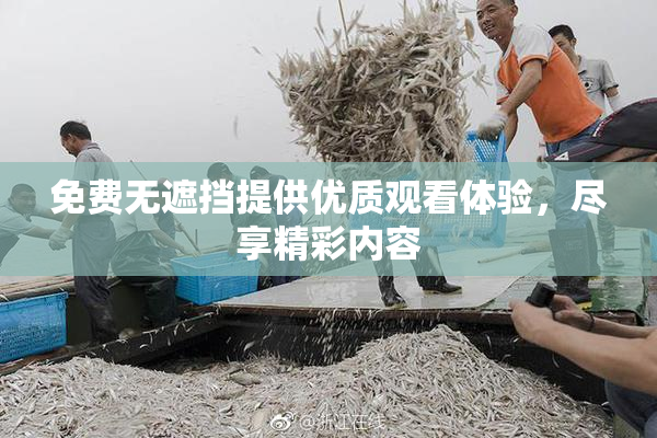 免费无遮挡提供优质观看体验，尽享精彩内容
