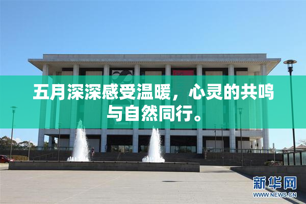 五月深深感受温暖，心灵的共鸣与自然同行。