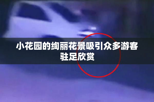 小花园的绚丽花景吸引众多游客驻足欣赏