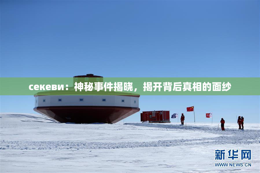ceкеви：神秘事件揭晓，揭开背后真相的面纱