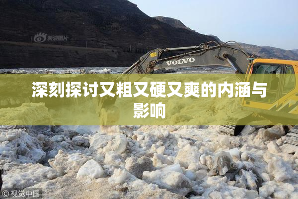 深刻探讨又粗又硬又爽的内涵与影响