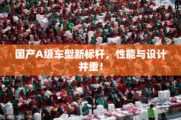 国产A级车型新标杆，性能与设计并重！