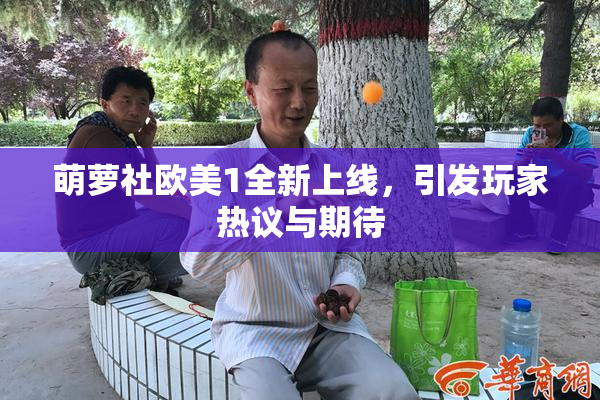 萌萝社欧美1全新上线，引发玩家热议与期待