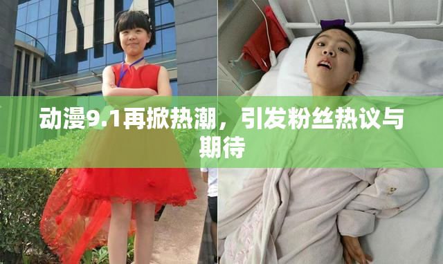 动漫9.1再掀热潮，引发粉丝热议与期待