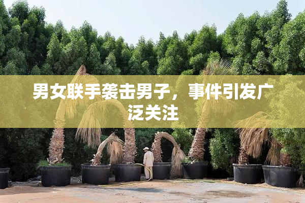 男女联手袭击男子，事件引发广泛关注