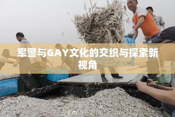 军警与GAY文化的交织与探索新视角
