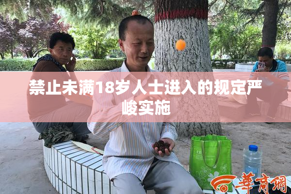 禁止未满18岁人士进入的规定严峻实施