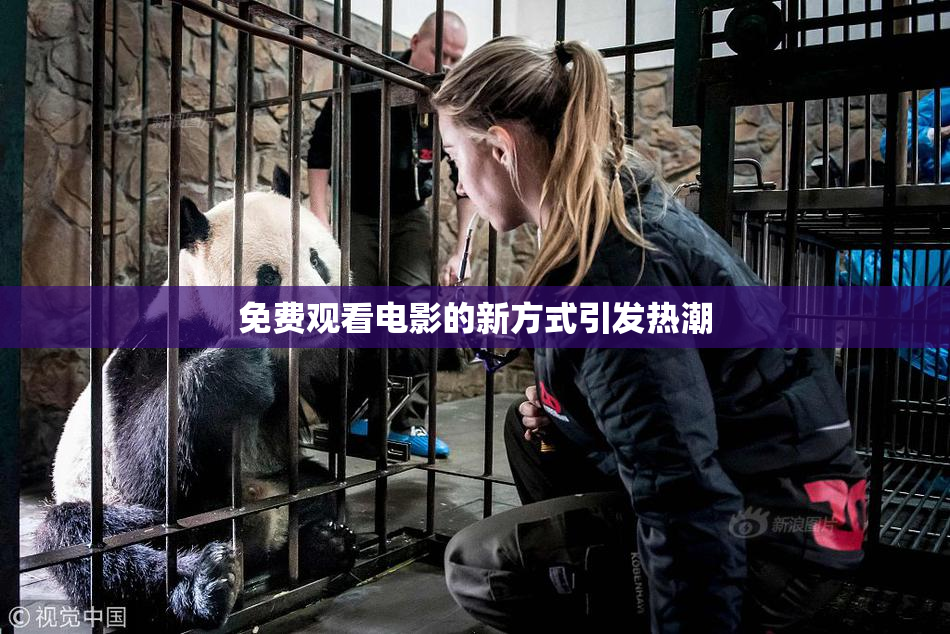 免费观看电影的新方式引发热潮