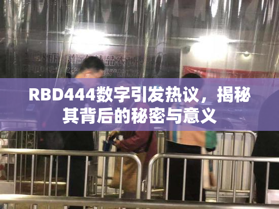 RBD444数字引发热议，揭秘其背后的秘密与意义