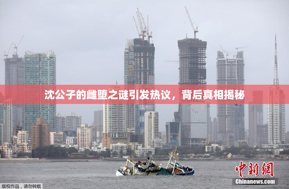 沈公子的雌堕之谜引发热议，背后真相揭秘