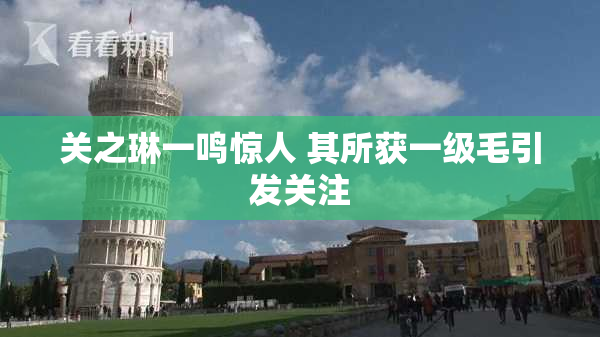 关之琳一鸣惊人 其所获一级毛引发关注