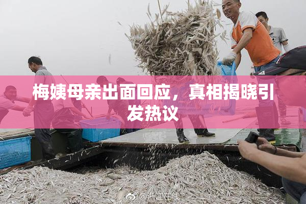 梅姨母亲出面回应，真相揭晓引发热议