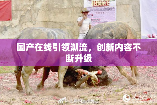 国产在线引领潮流，创新内容不断升级