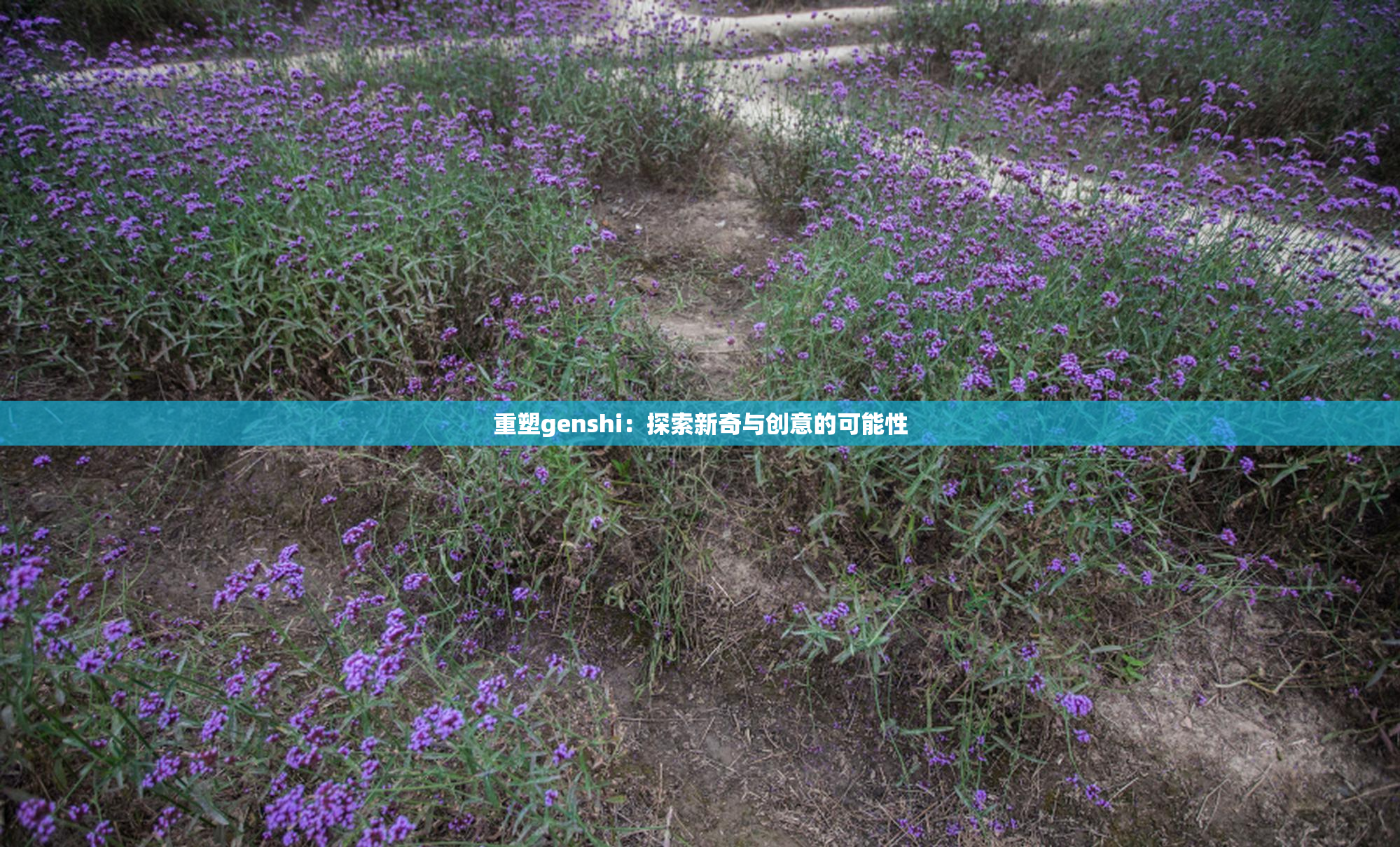重塑genshi：探索新奇与创意的可能性
