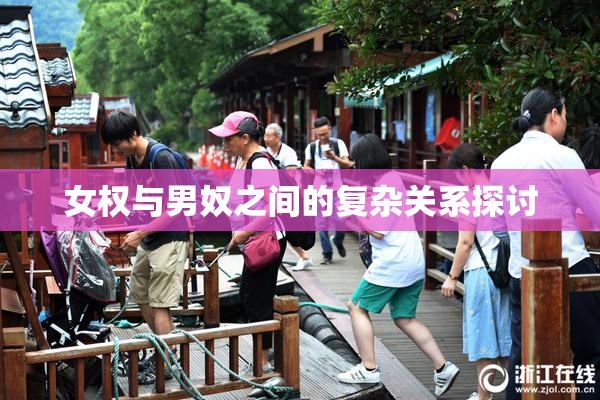 女权与男奴之间的复杂关系探讨