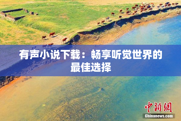 有声小说下载：畅享听觉世界的最佳选择