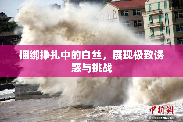 捆绑挣扎中的白丝，展现极致诱惑与挑战