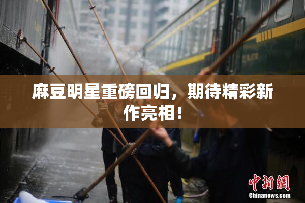 麻豆明星重磅回归，期待精彩新作亮相！