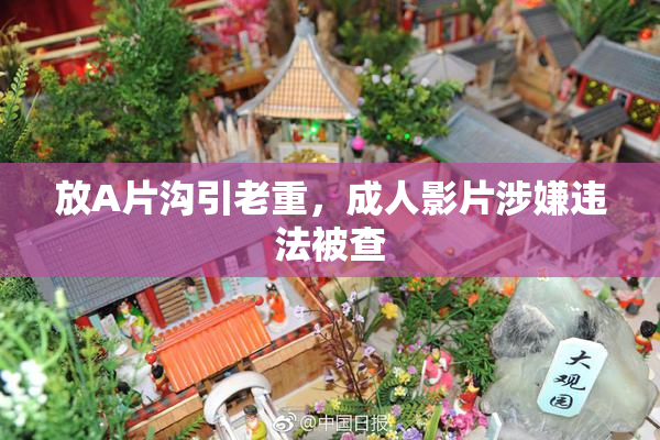 放A片沟引老重，成人影片涉嫌违法被查