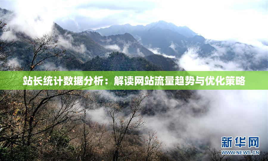 站长统计数据分析：解读网站流量趋势与优化策略