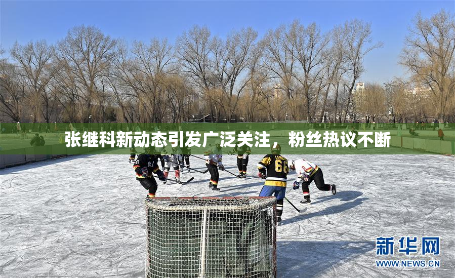 张继科新动态引发广泛关注，粉丝热议不断