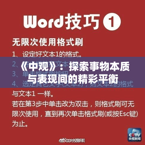 《中观》：探索事物本质与表现间的精彩平衡