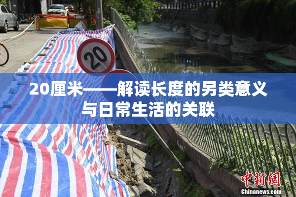 20厘米——解读长度的另类意义与日常生活的关联
