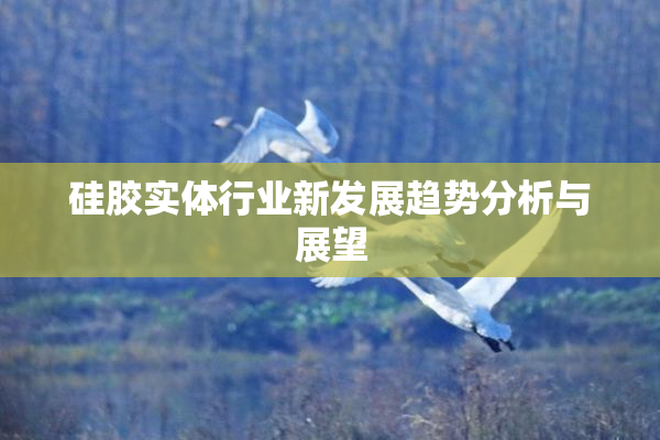 硅胶实体行业新发展趋势分析与展望