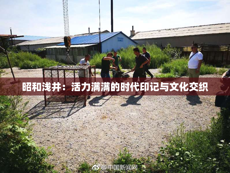 昭和浅井：活力满满的时代印记与文化交织