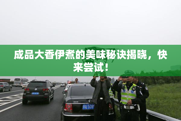 成品大香伊煮的美味秘诀揭晓，快来尝试！