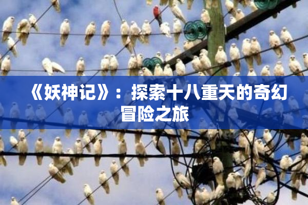 《妖神记》：探索十八重天的奇幻冒险之旅