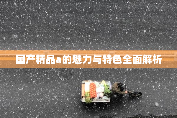 国产精品a的魅力与特色全面解析