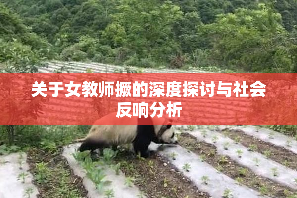关于女教师撅的深度探讨与社会反响分析