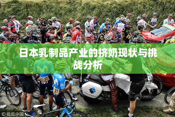 日本乳制品产业的挤奶现状与挑战分析