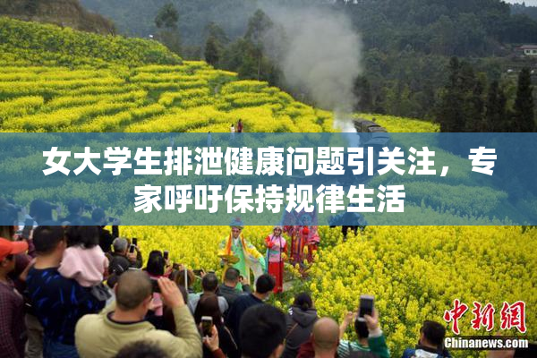 女大学生排泄健康问题引关注，专家呼吁保持规律生活
