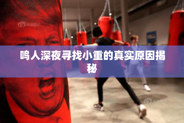 鸣人深夜寻找小重的真实原因揭秘