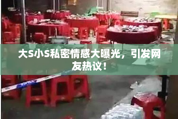大S小S私密情感大曝光，引发网友热议！