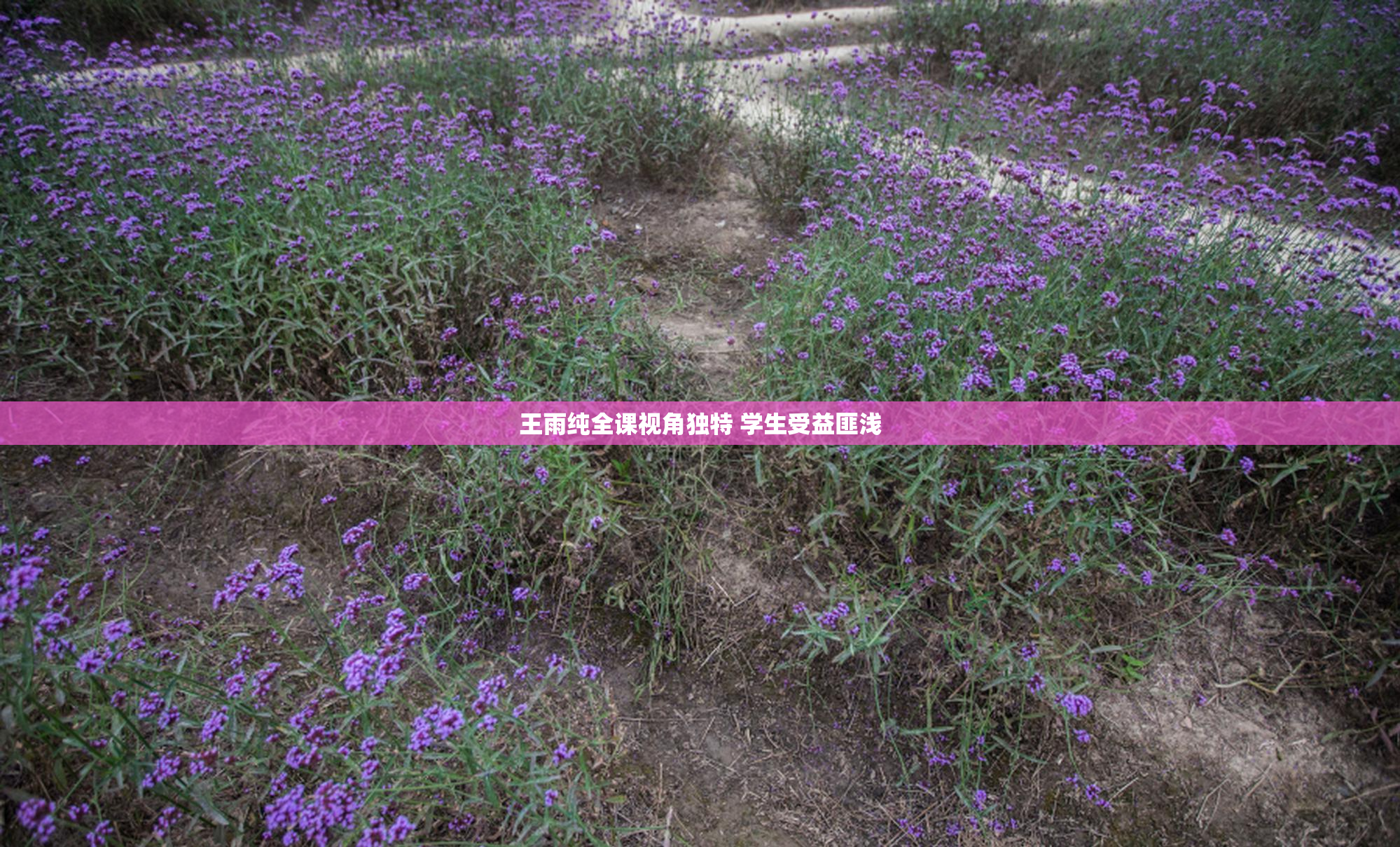 王雨纯全课视角独特 学生受益匪浅