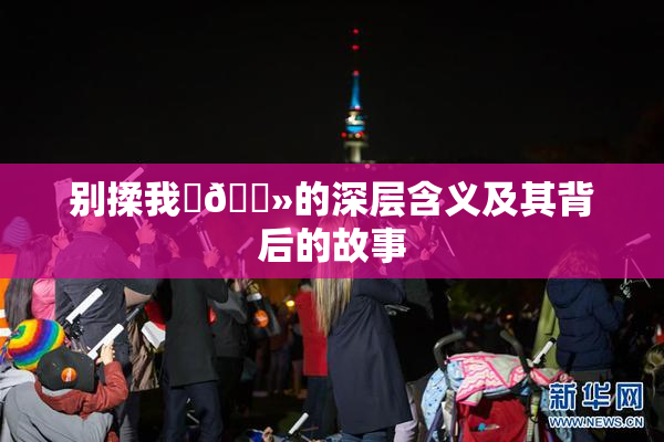别揉我‌🐻的深层含义及其背后的故事