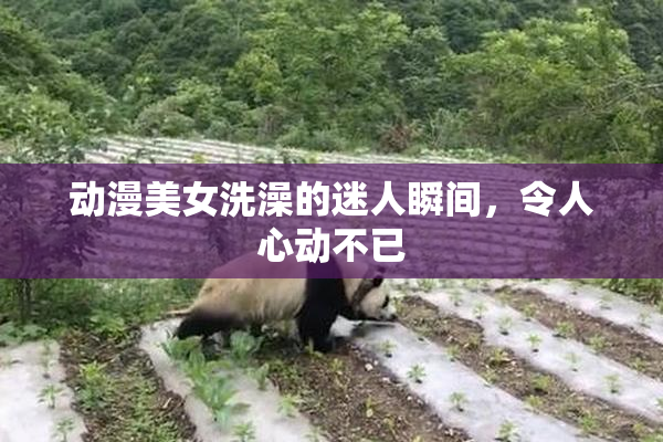 动漫美女洗澡的迷人瞬间，令人心动不已