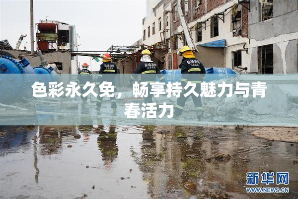 色彩永久免，畅享持久魅力与青春活力
