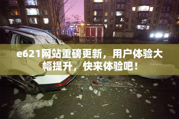 e621网站重磅更新，用户体验大幅提升，快来体验吧！