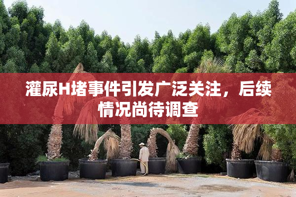 灌尿H堵事件引发广泛关注，后续情况尚待调查