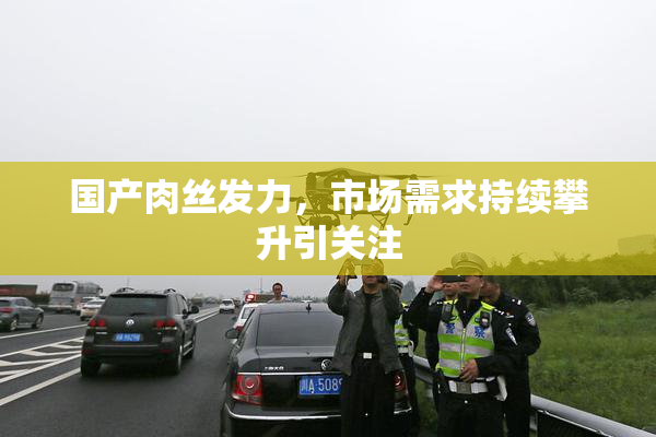 国产肉丝发力，市场需求持续攀升引关注