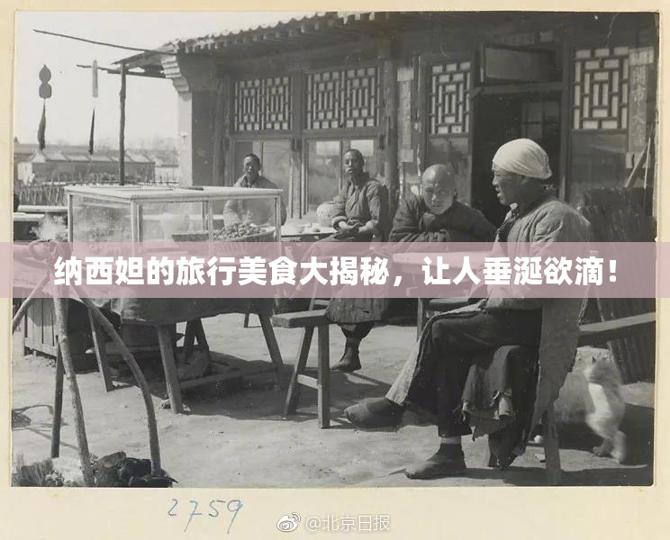 纳西妲的旅行美食大揭秘，让人垂涎欲滴！