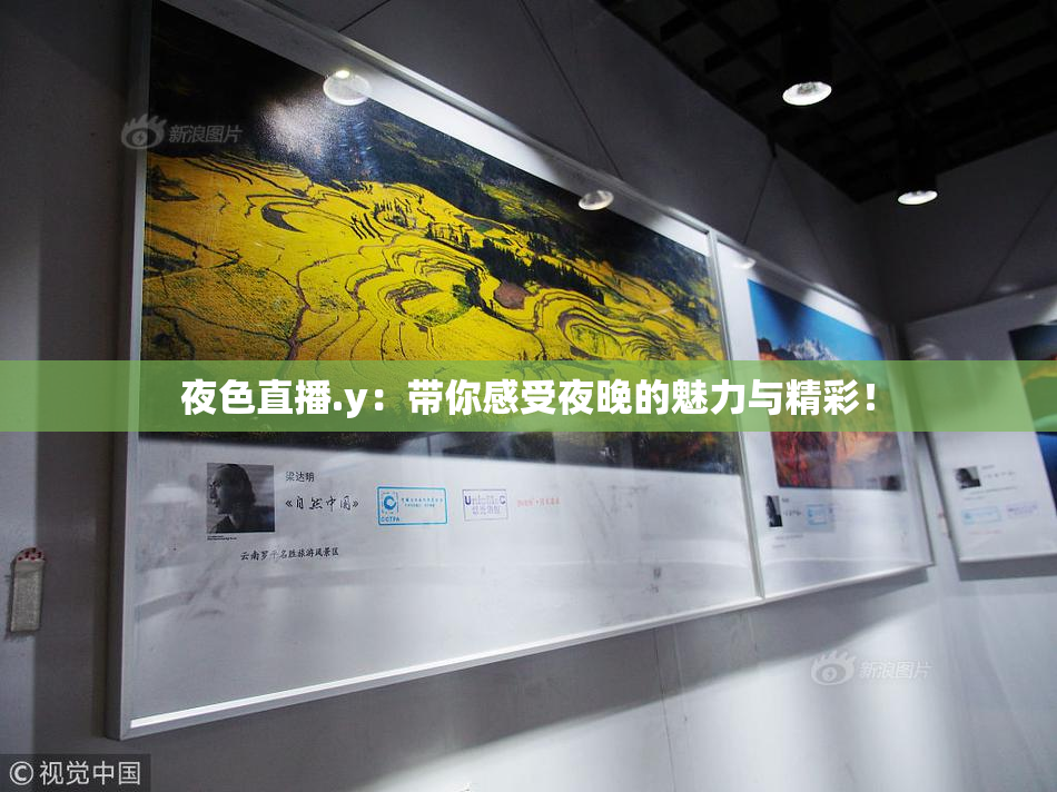 夜色直播.y：带你感受夜晚的魅力与精彩！