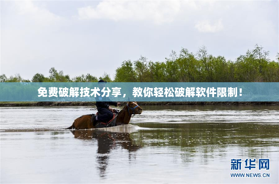 免费破解技术分享，教你轻松破解软件限制！