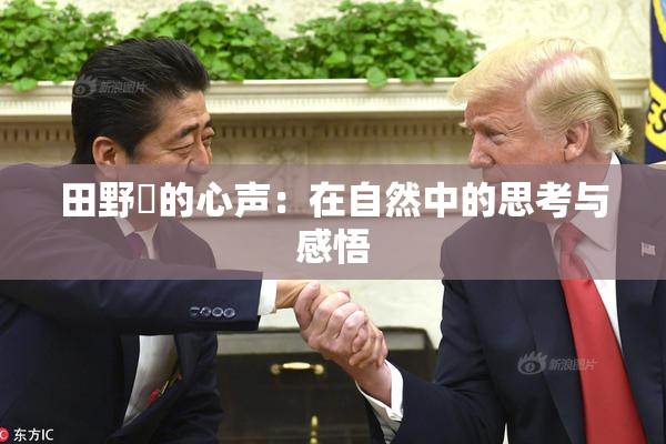 田野憂的心声：在自然中的思考与感悟